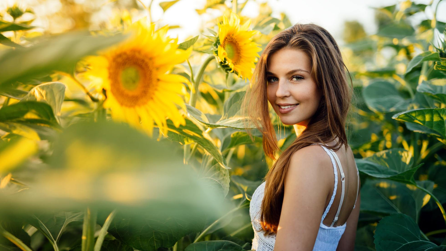 Vitamin D: Ein lebenswichtiges Element
