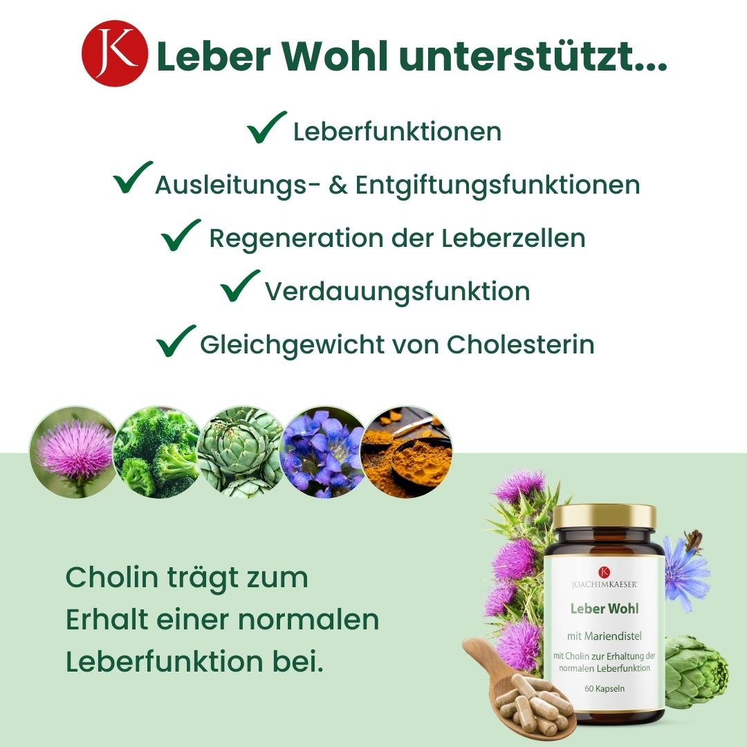 Leber Wohl - 60 Kapseln