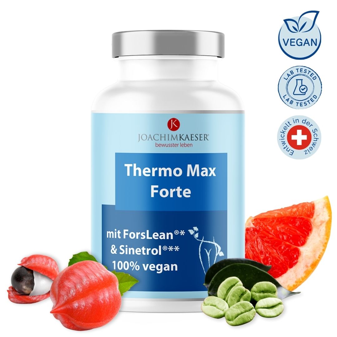 Thermo Max Forte - 60 Kapseln
