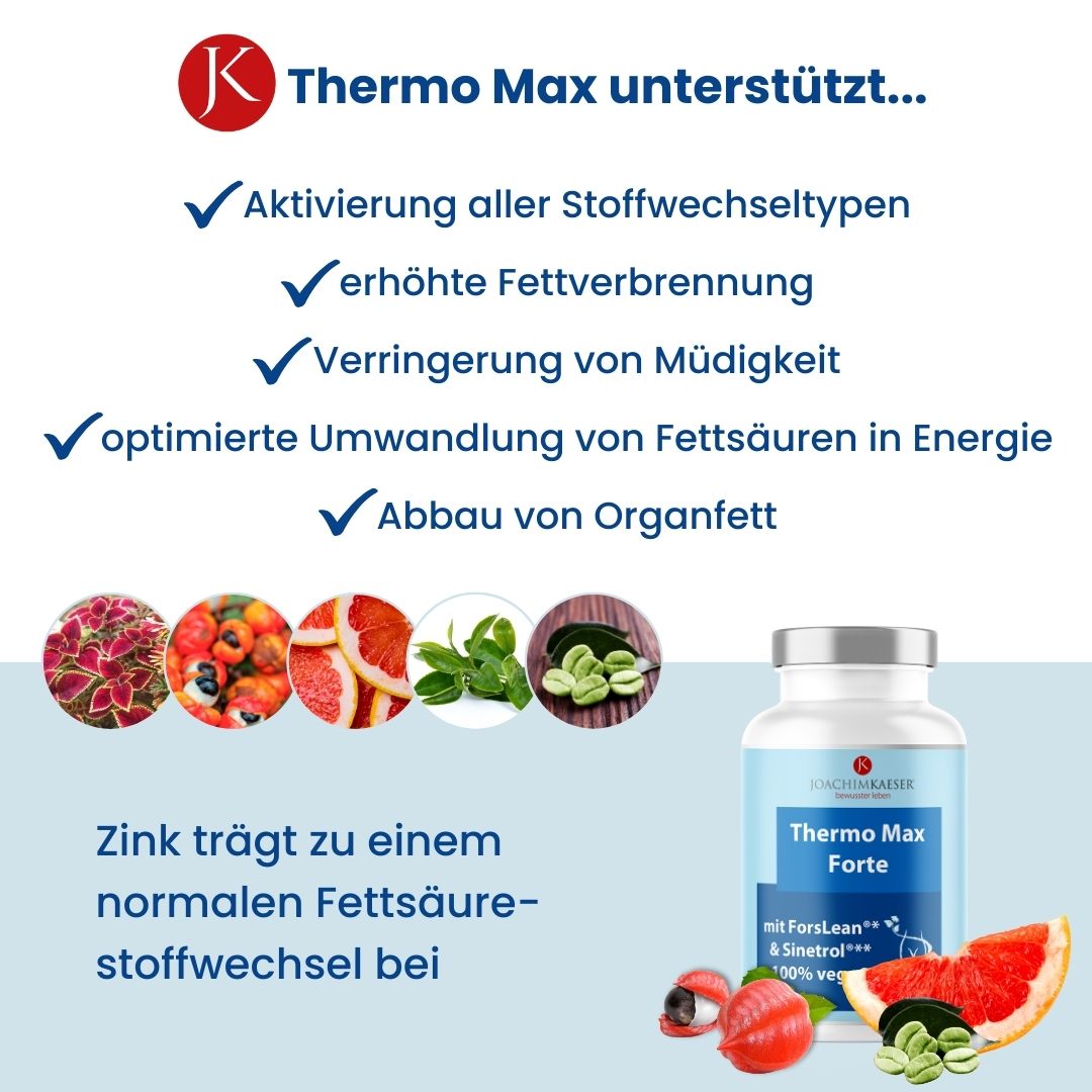 Thermo Max Forte - 60 Kapseln