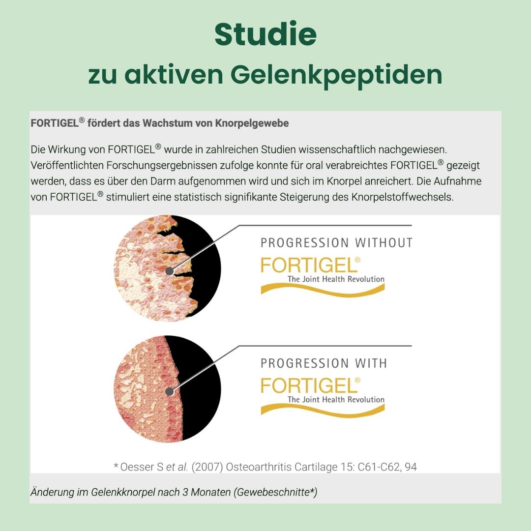 Gelenk Kraft 360g +50% = 540g