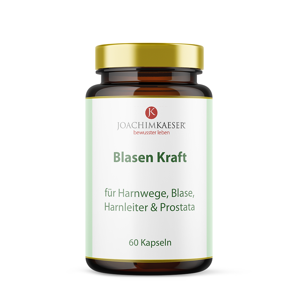 Blasen Kraft - 60 Kapseln