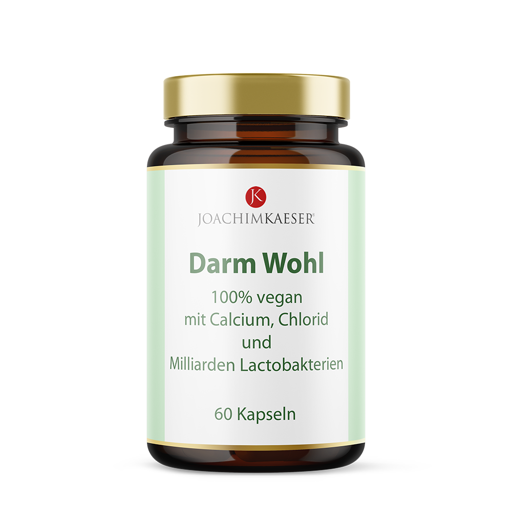 Darm Wohl - 60 Kapseln