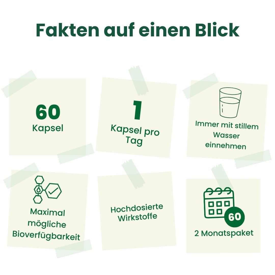 Factor D - 60 Kapseln