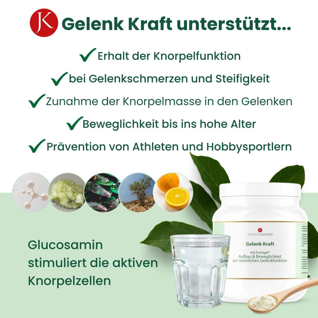 Gelenk Kraft 360g +50% = 540g