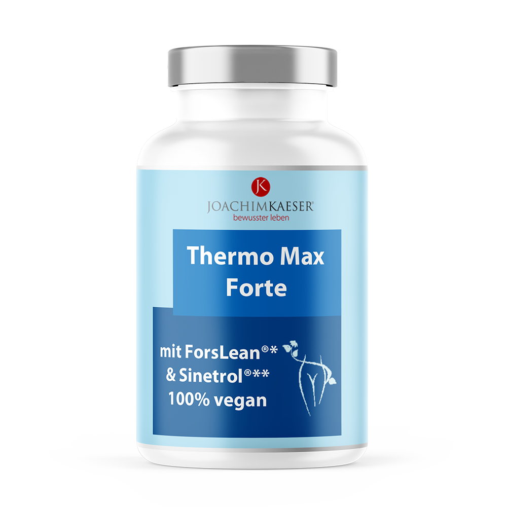 Thermo Max Forte - 60 Kapseln