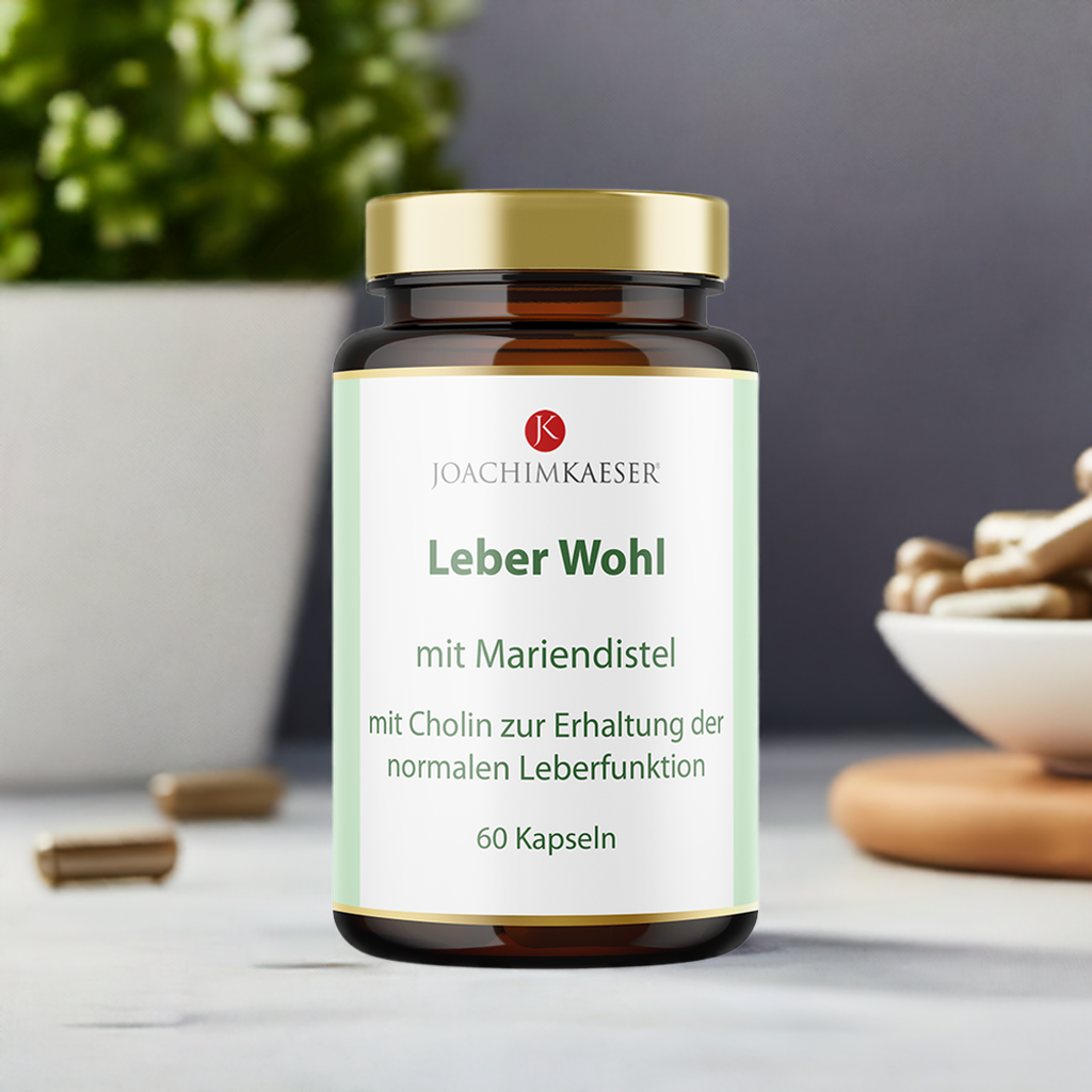 Leber Wohl - 60 Kapseln
