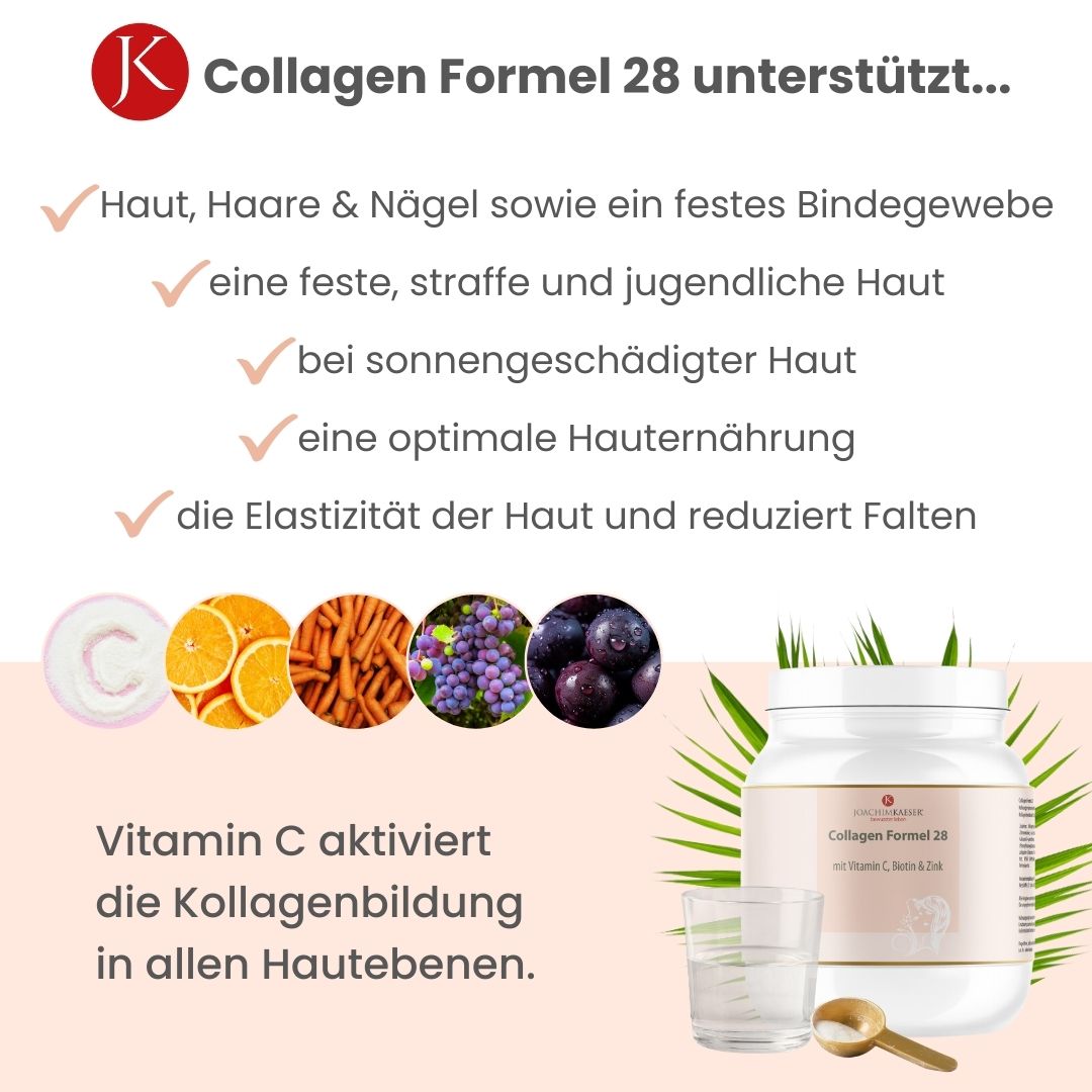 Collagen Formel 28 - 360g