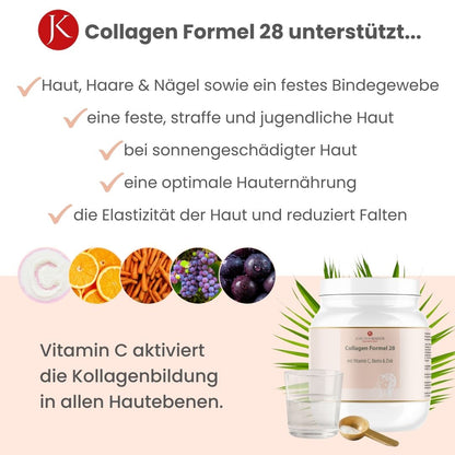 Formula al collagene 28 - 360 g