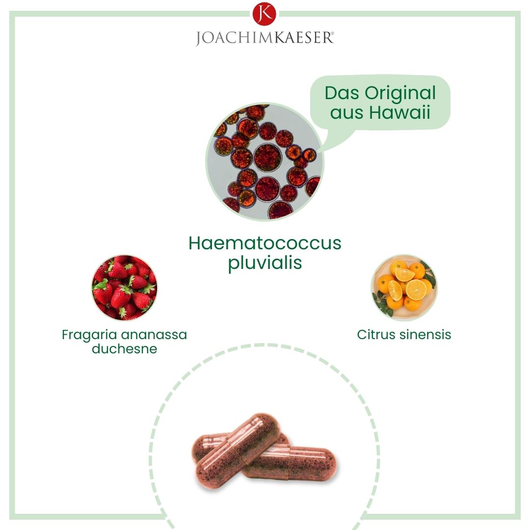 Astaxanthin - 60 Kapseln