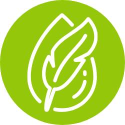 Icon mit hochwertigen Inhaltsstoffen