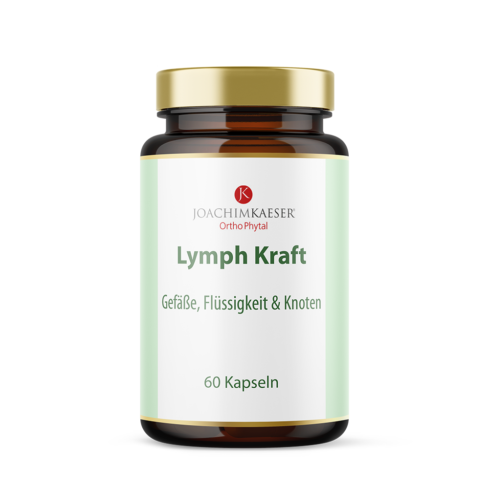 Lymph Kraft - 60 Kapseln