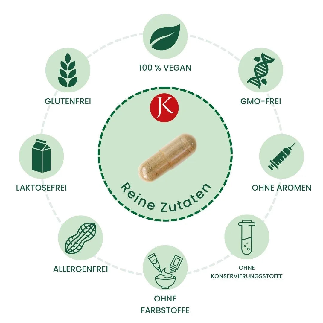 Mitochondrien-Booster