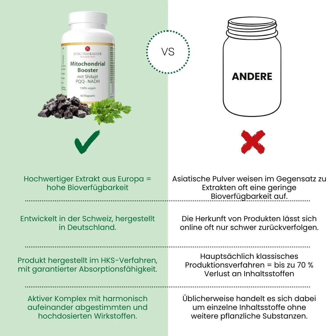 Mitochondrien-Booster