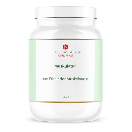 Muskulatur - 360 g