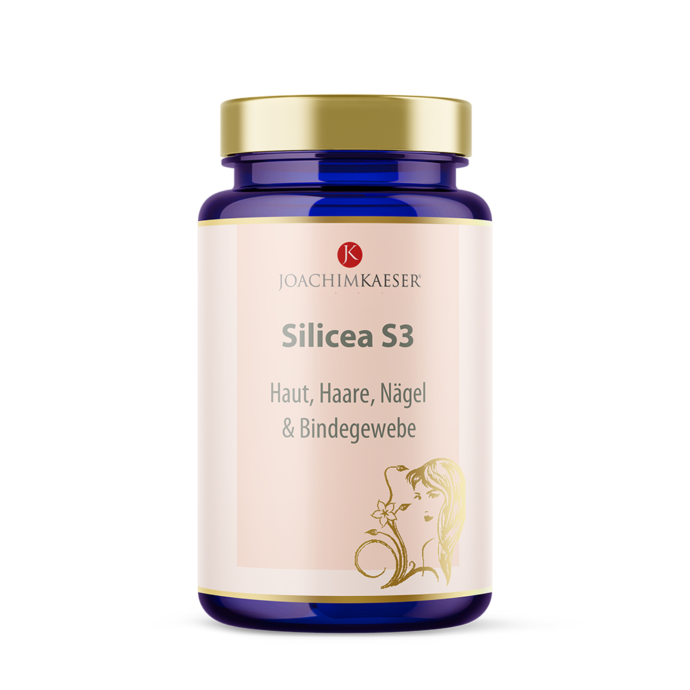Silicea S3 - 60 Kapseln